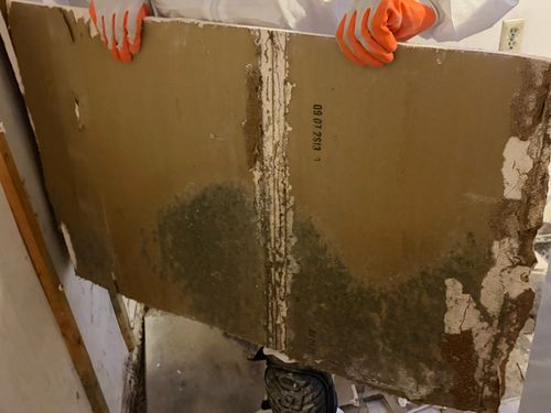 Mold Remediation for ACM Environmental in Salt Lake City, UT