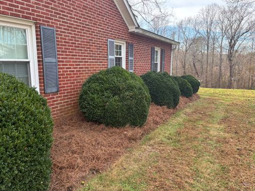 Lawn Maintenance for Palmetto State Landscaping in Gaffney, SC