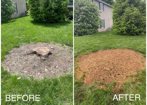  for H&H Stump Grinding in Chillicothe, OH