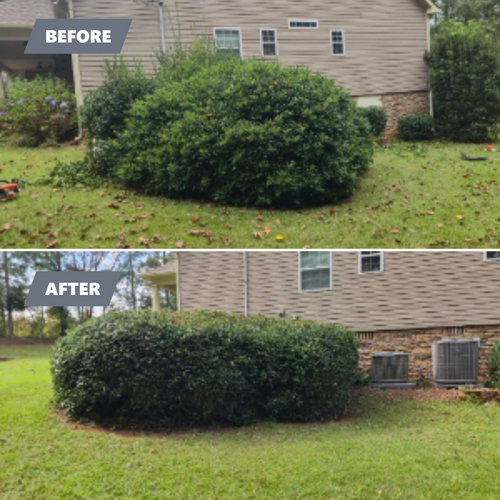 Shrub Trimming for Fresh Cut Yard & Lawn Care LLC in Forsyth, GA