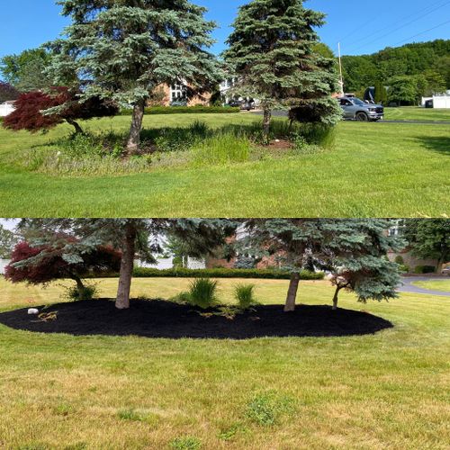 Fall Clean Up for Cuellar Lawn Care in Stone Ridge , NY 