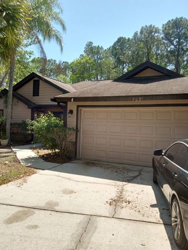 All Photos for A Southern Style Tree Service in Orlando, FL