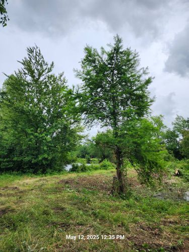  for TJ Farm and Land Management in Loris, SC