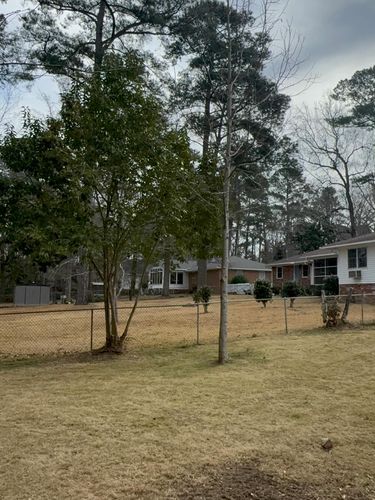  for Shang's Landscaping Service in Columbia, South Carolina