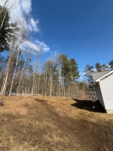  for Clifford’s Quality Tree Care & Landscaping in Enfield, NH