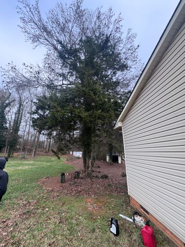  for Diversified Tree Company in Trinity, NC