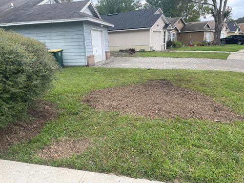 Stump Mulching for On The Grind Stump Grinding Services LLC in Jacksonville, FL