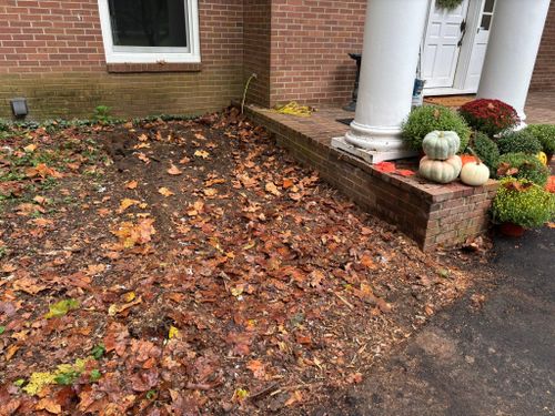 Stump Removal for Conrad's Stump Removal in Columbus, IN