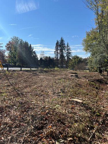  for J&E Tree & Excavation Services in Sandy, PA