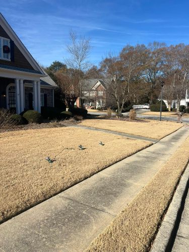  for Adams Landscape Management Group LLC. in Loganville, GA