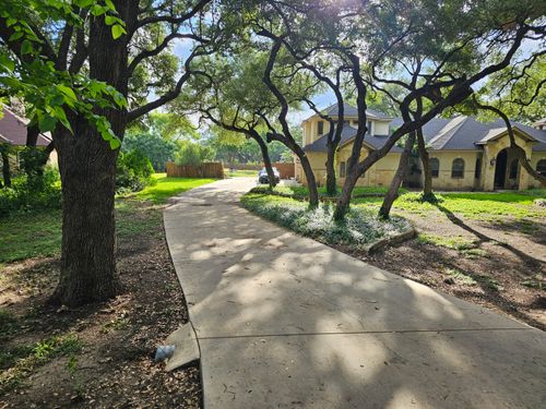 Tree Trimming for Miller Mowing and Maintenance in San Antonio, TX