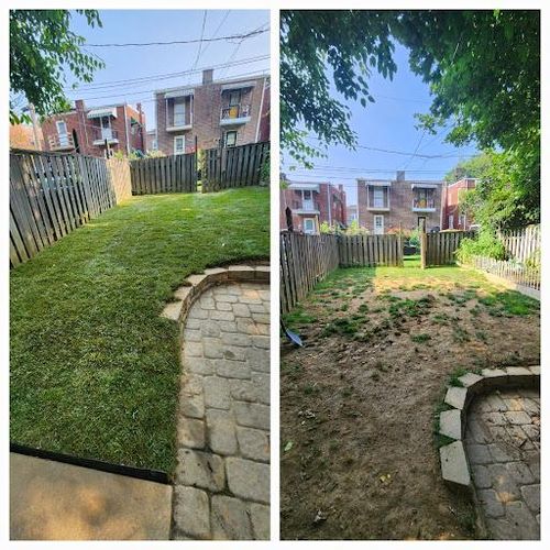  for Wiley Landscape Design in York, PA