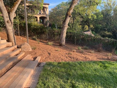 Drought Tolerant Landscapes / Xeriscapes for Blue Water Landscape Services in El Dorado Hills, CA