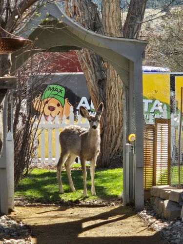  for Eagle Bay is Proud to Transition to Augusta Lawn Care of Helena in Helena, MT