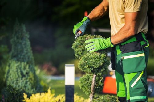 All Photos for A&D Lawn Care of Lakeland in Lakeland, FL