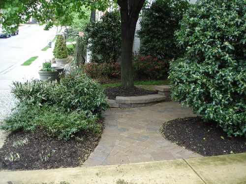 M&M Professional Landscaping for Offering professional solutions for every aspect of your home. in Sterling, VA