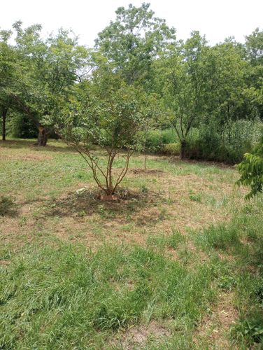 Mowing for Emergency Yard Care LLC in Waxahachie, TX
