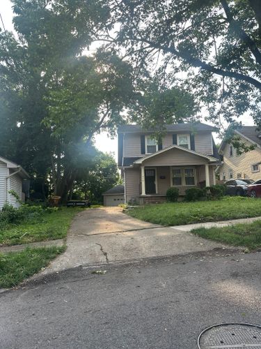 All Photos for Pro Tree Trim & Removal, Llc in Dayton, OH