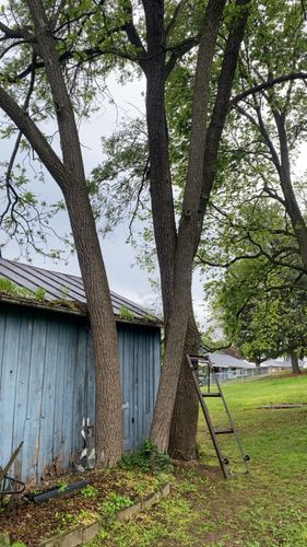 All Photos for Gray's Tree Service  in Shenandoah County, VA