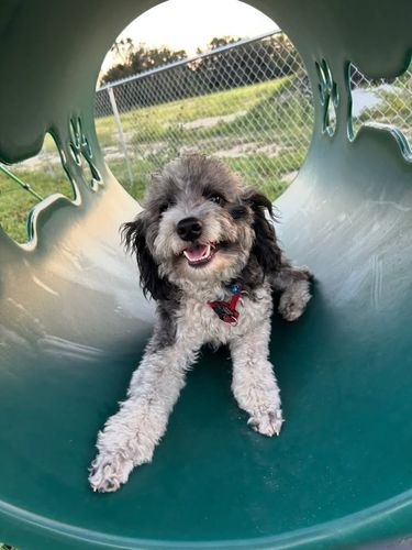 All Photos for Heritage Oaks RV Resort in Wellborn, FL