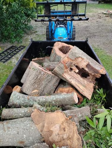 Tree Removal for Highlands Tree Service LLC in Avon Park, FL