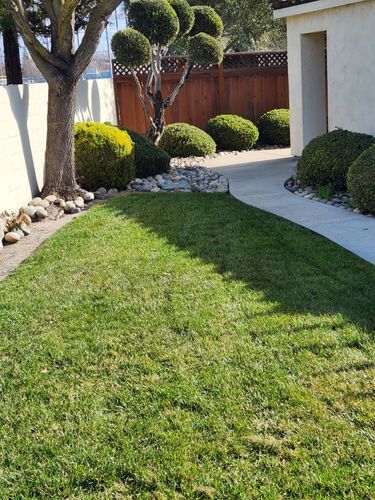  for Vargas LANSCAPE LLC in Stockton, CA