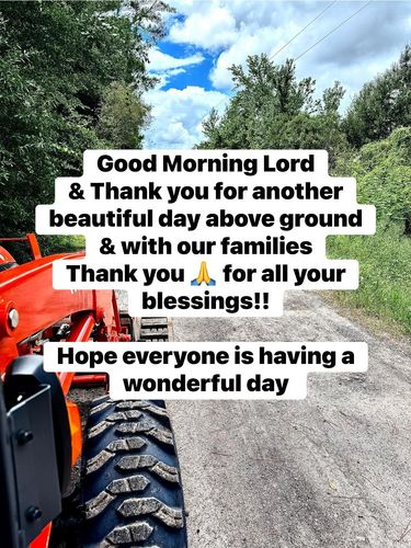  for DLC Land Clearing in Glen Saint Mary, FL