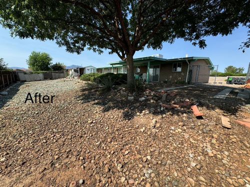 Stump Removal for By Faith Landscaping in Sierra Vista, AZ