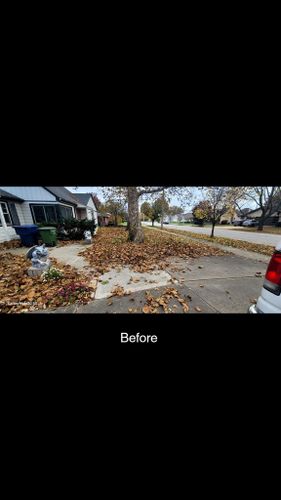 Spring And Fall Cleanups for Sals Lawn and Landscape in Oak Lawn, IL