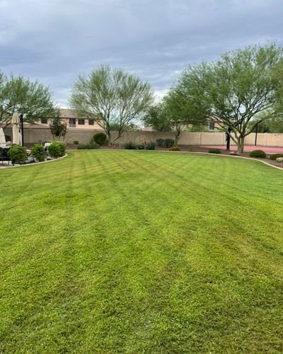 Residential Lawn Maintenance for American Dream Landscape Company in Surprise, AZ