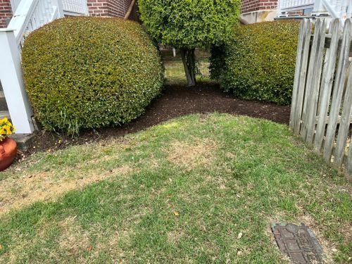 Fall and Spring Clean Up for Eddie’s Lawn Care in Chesapeake, VA