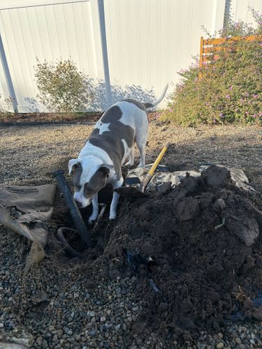  for C4 Ground Control in Oviedo, FL