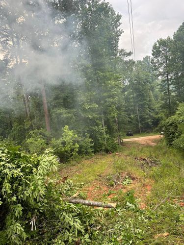 Tree Trimming & Removal for A.P Land Management in Atlanta, Ga