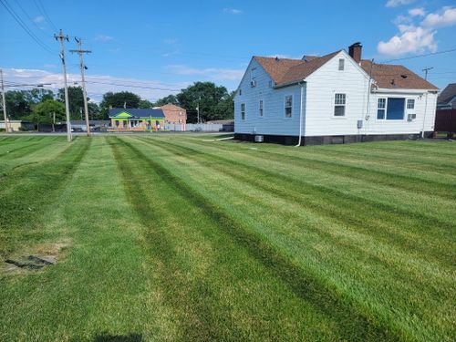 Weeding for Tingley's Green Land Services in Springfield, Ohio