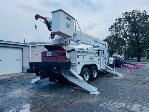 Tree Trimming for Lamb Brothers Clearing in Murray, KY