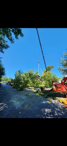  for Darbie's Tree Service in Newburg,  MD