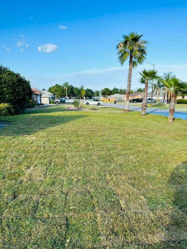 All Photos for Estrada All Pro Lawn Service in Auburndale, Florida