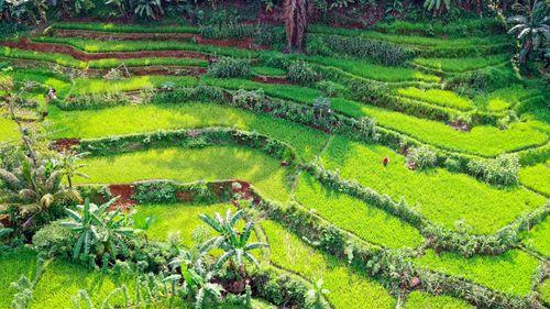 Lawn Maintenance for Morning Dew Landscaping Services in  Marlboro, NY