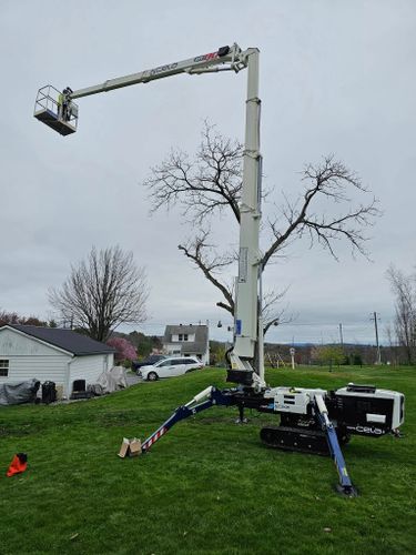 All Photos for AAA Tree Cutting in Shavertown, PA