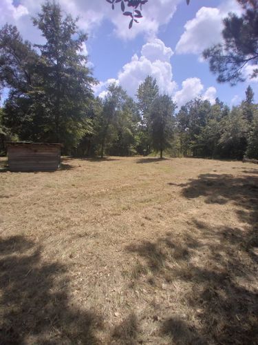 Seasonal Cleanup for Landrum’s Lawn & Tractor Services in Blountstown, FL