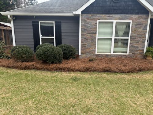 Pine Straw for Southern Outdoors Landscaping in Covington, GA