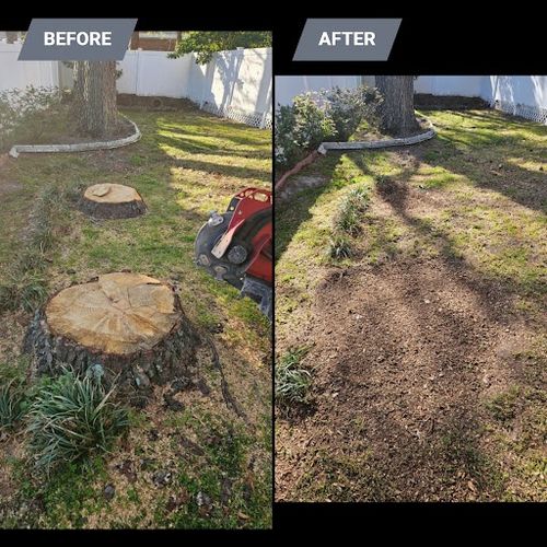 Stump Grinding for Anchor & Grind Stump in Chesapeake, VA