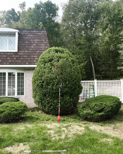 Shrub Trimming for Hennessey Landscaping LLC in Oxford,  CT 