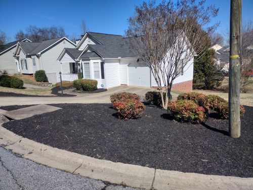  for Palmetto Cuts Lawn Care LLC in Simpsonville, SC