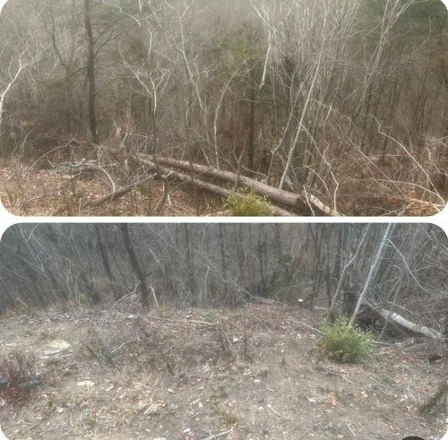  for McBee’s Tree Service in Sewanee, TN