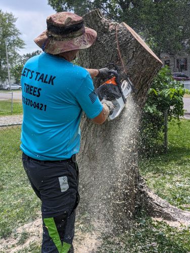 Tree Services for The Grass Guys CLC, LLC. in Princeton, IN