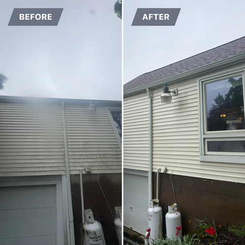 Moss Removal for Apex Windows in Brockport, NY