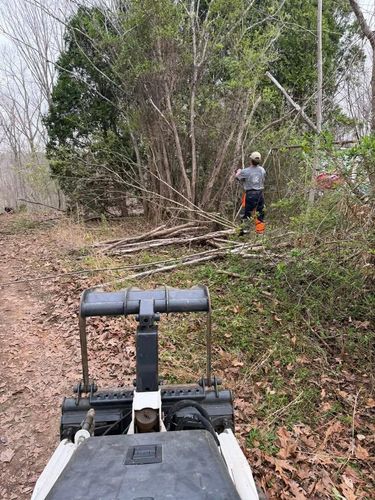 All Photos for Ramirez Tree Care in Elkin, NC