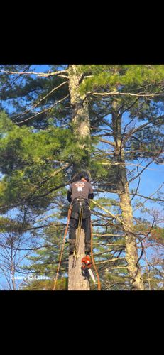 All Photos for Blue Ribbon Tree Service in Gilford, NH