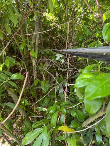  for Hammons Construction LLC in Eugene, OR